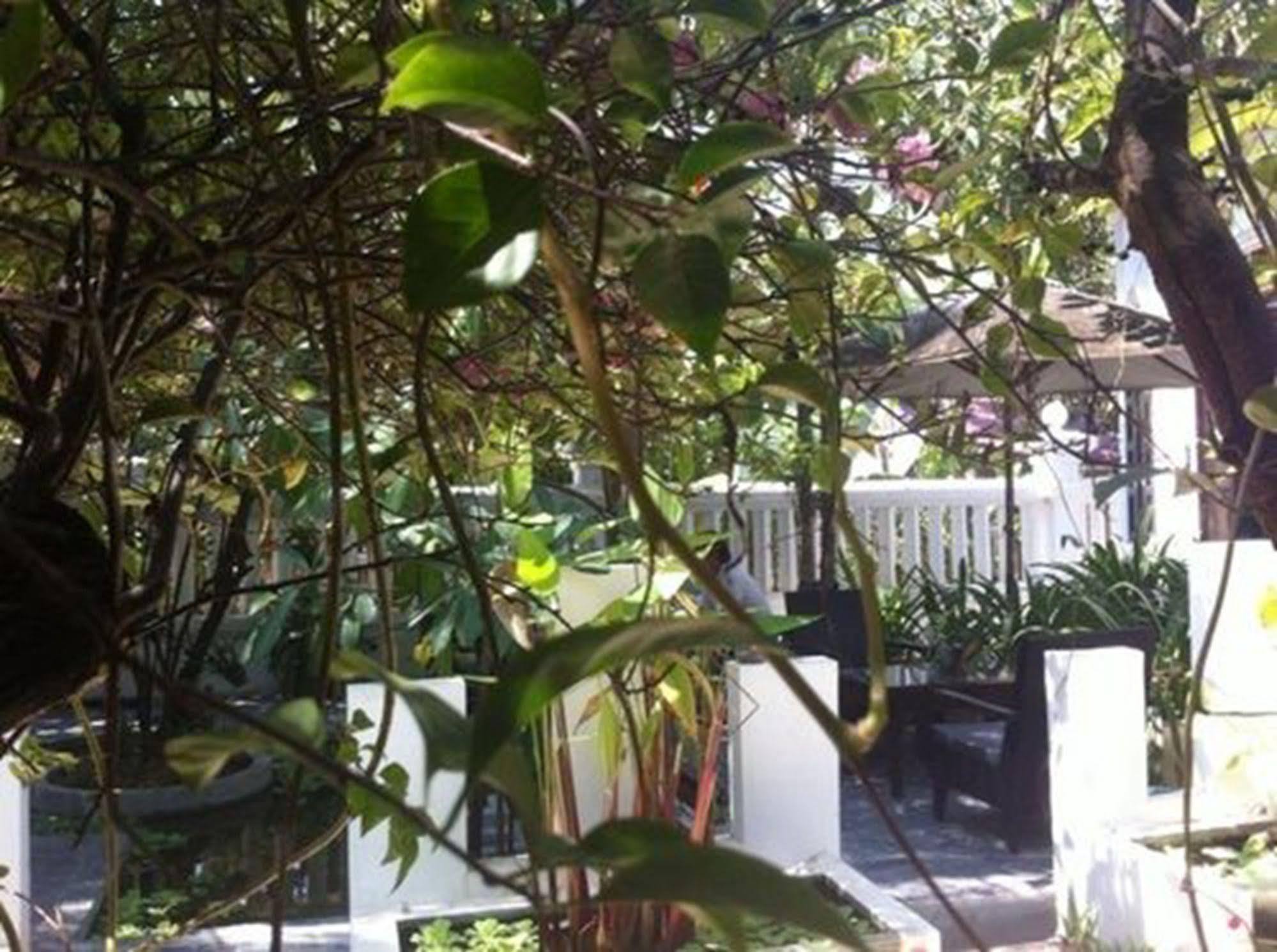Eocambo Villa Siem Reap Esterno foto